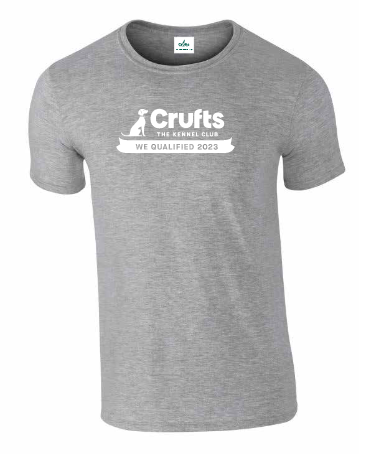 We Qualified 2023 Grey T-Shirt - Unisex