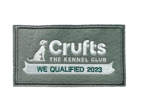 2023 We Qualified Sew On Badge