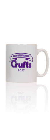 2017 We Qualified Mug